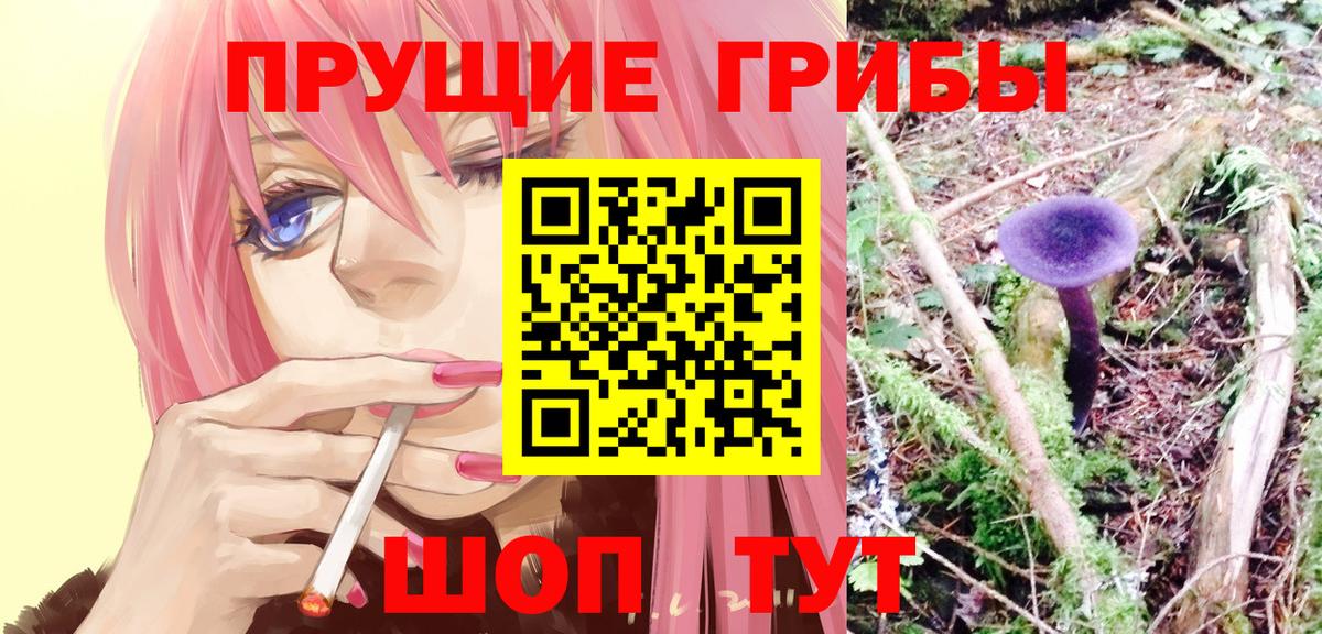 Псилоцибиновые грибы прущие грибы Дедовск