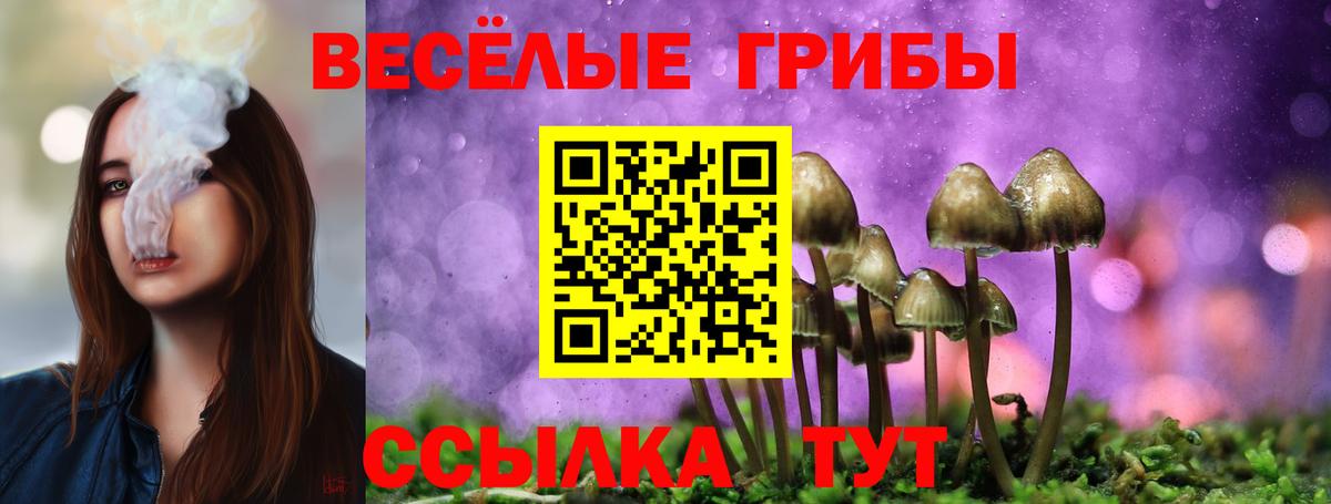 Дедовск  Псилоцибиновые грибы мухоморы  Вход с VPN 
